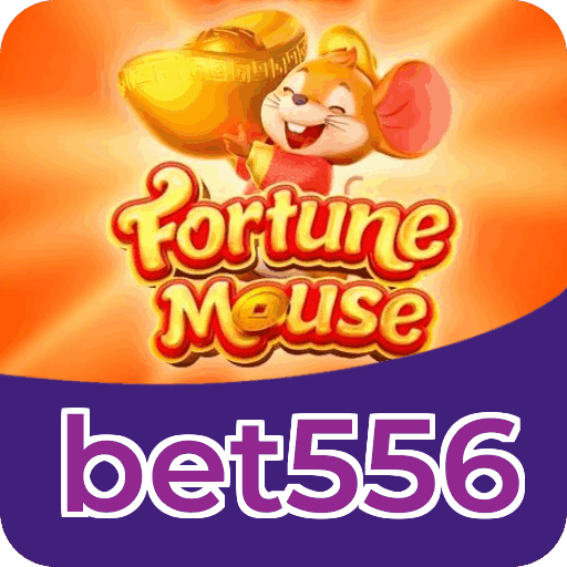 Métodos de pagamento aceitos na bet556